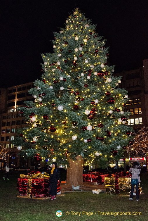 Me, under the giant Christmas tree